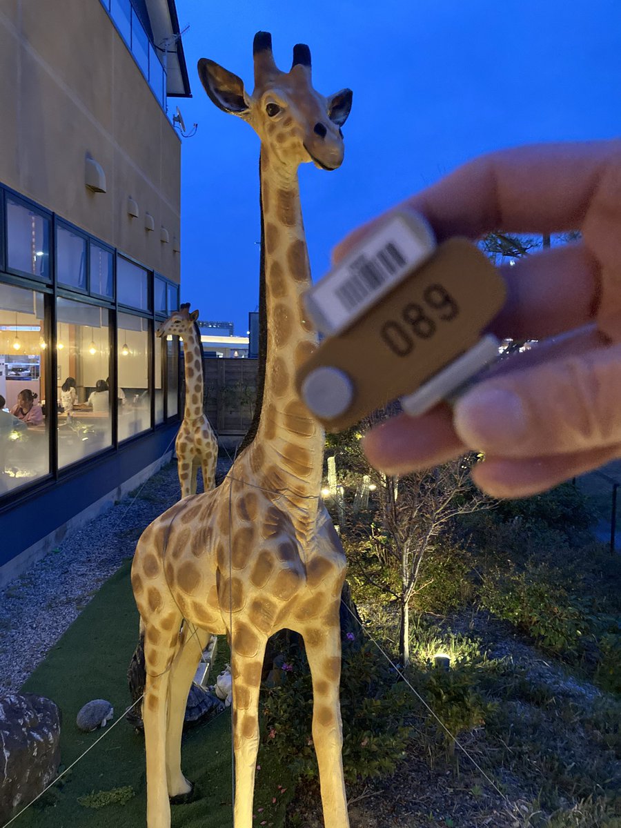 ファンキードリル tweet media