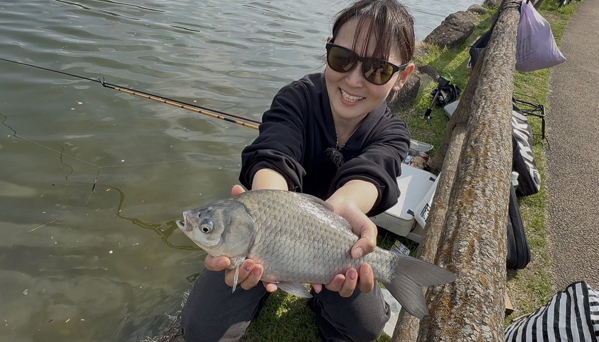 よっぴ tweet media