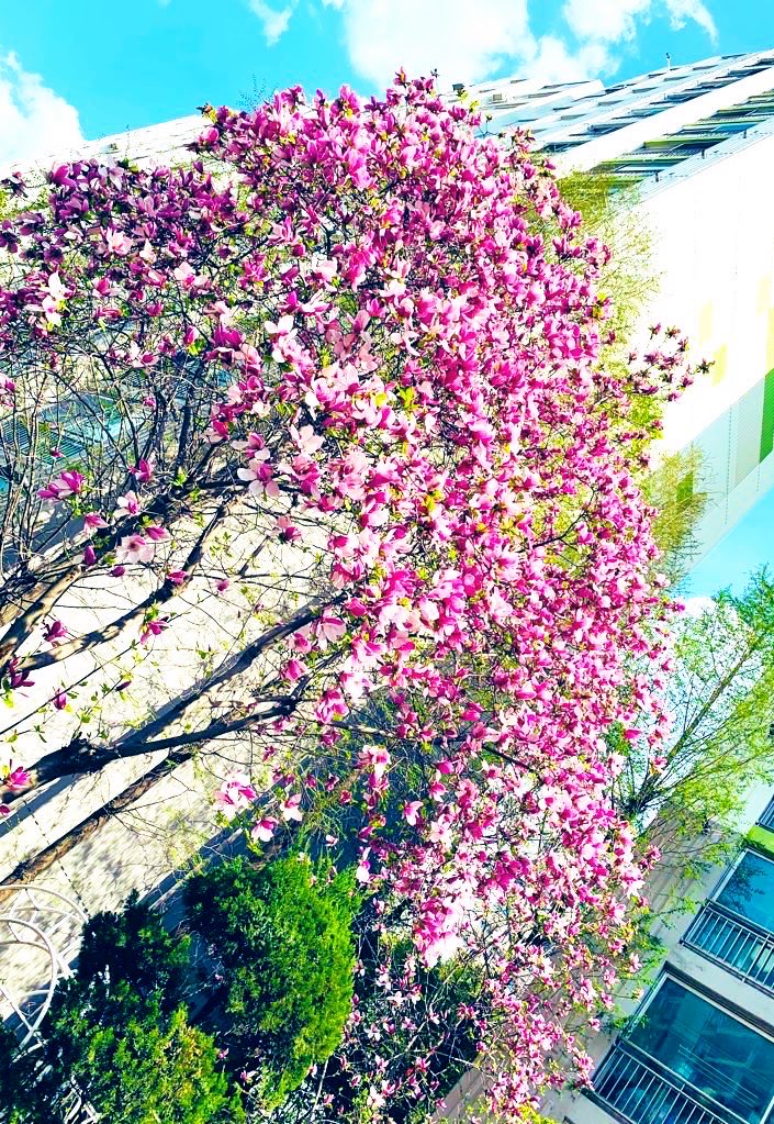 김희숙 tweet media