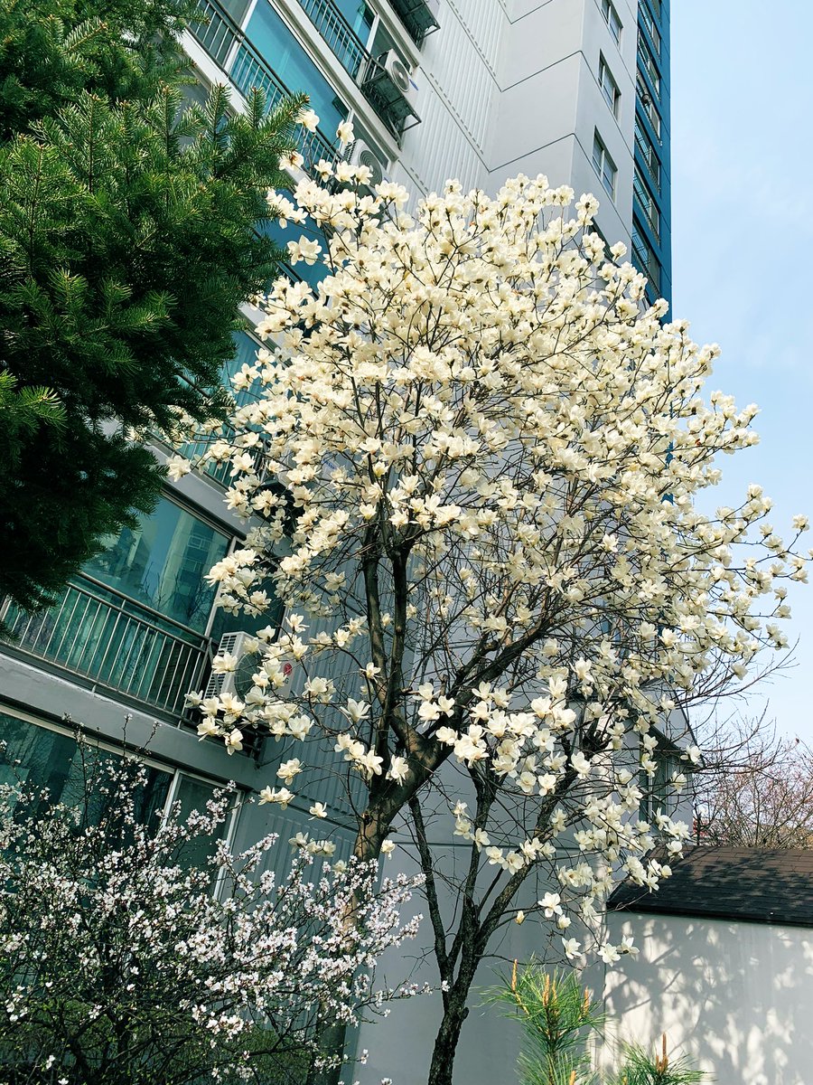 김희숙 tweet media