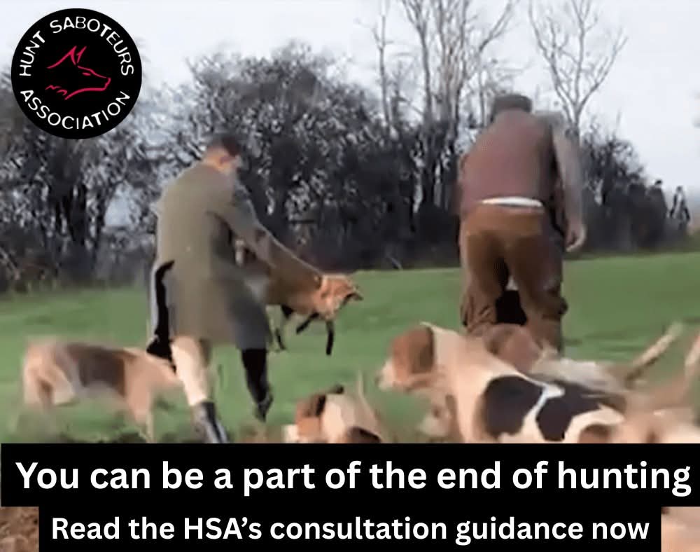 Hunt Saboteurs Association tweet media