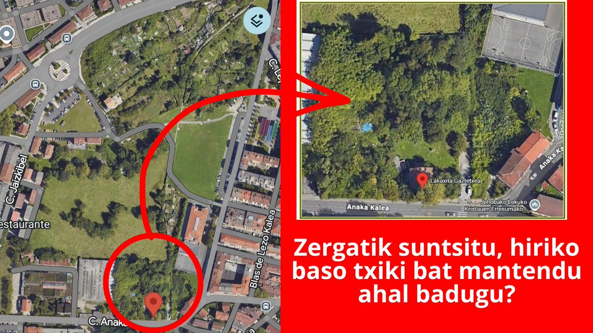artiakolagunak's tweet photo. 📢@Irun_informa-k @lakaxita ondoko hiri-basoa suntsitu du "lorategi" bat egiteko‼️
Hainbat #Zuhaitz eta #Hegazti-ren babeslekua zen bi hektareako eremua galdu da #Irun-en #SanMiguelAnaka #HirigintzaPlana-ren baitan.
Entzun @antxetairratia-n kontatutakoa:
🎧https://t.co/0LoPyPN1pY https://t.co/SViu0odrJu