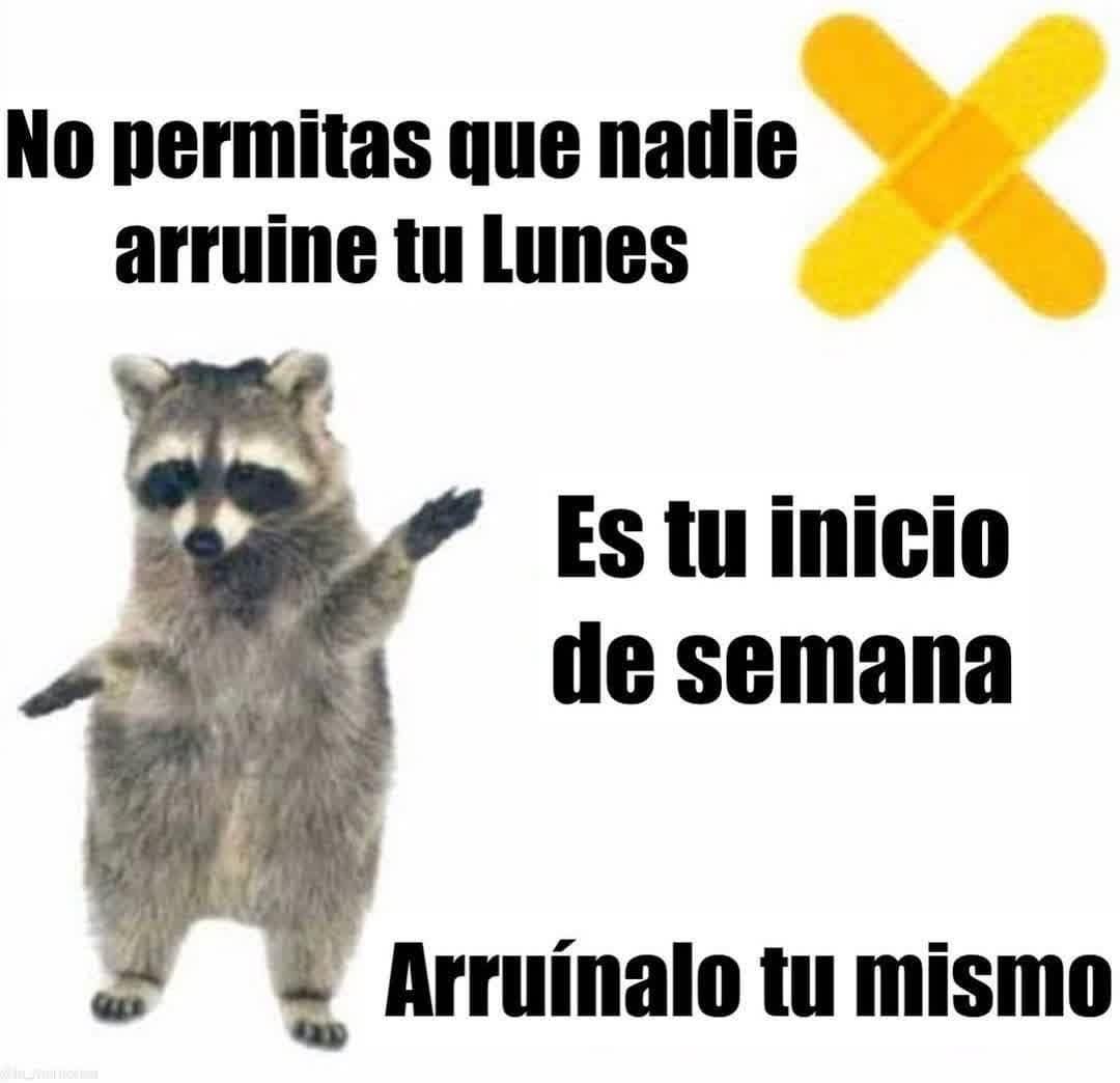 En Júpiter tweet media