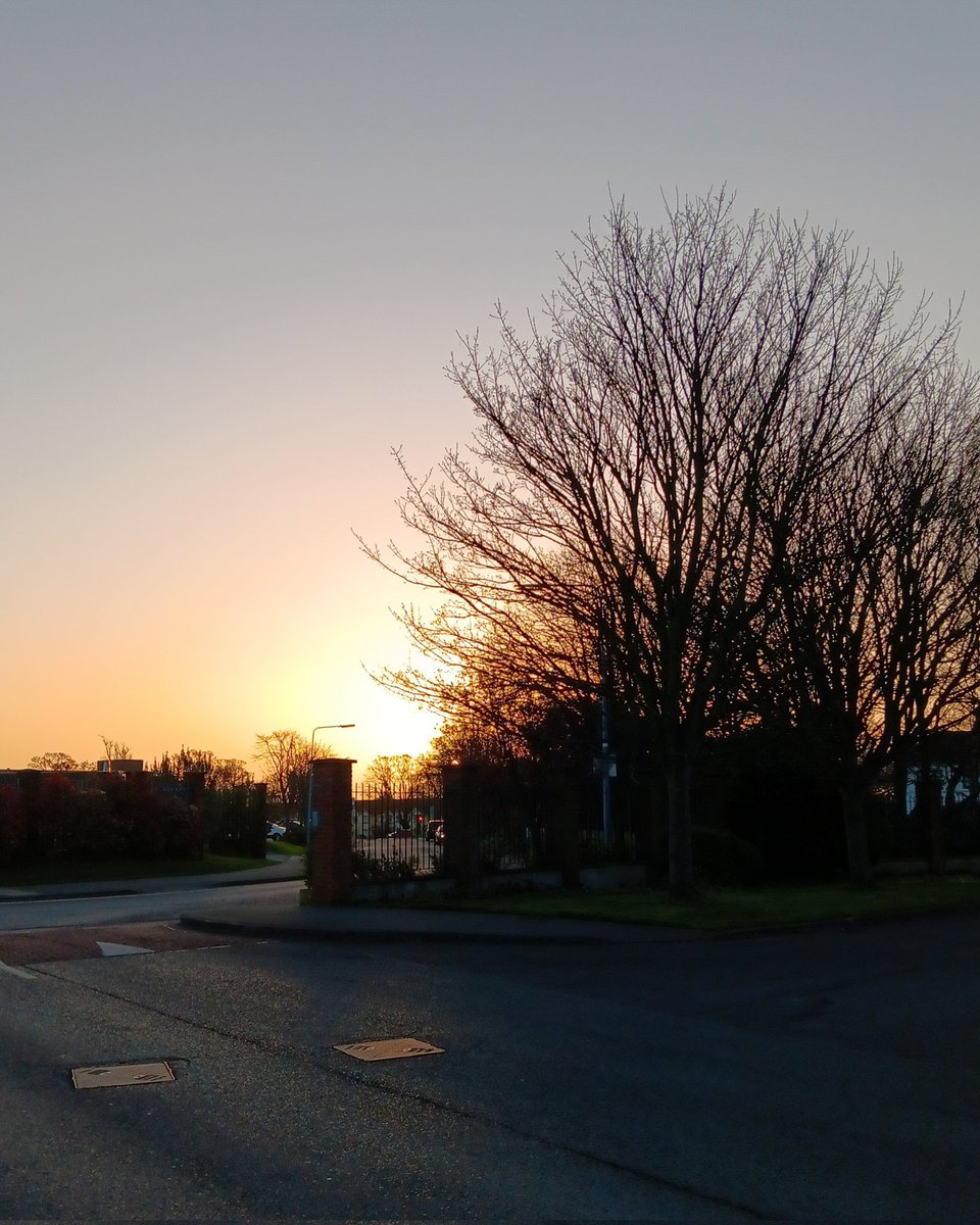 Johnny McCaw tweet media