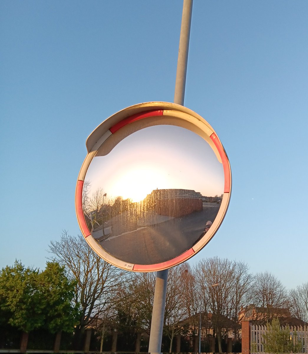 Johnny McCaw tweet media