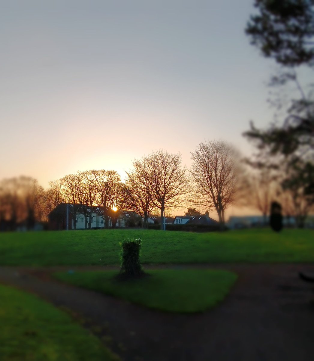 Johnny McCaw tweet media