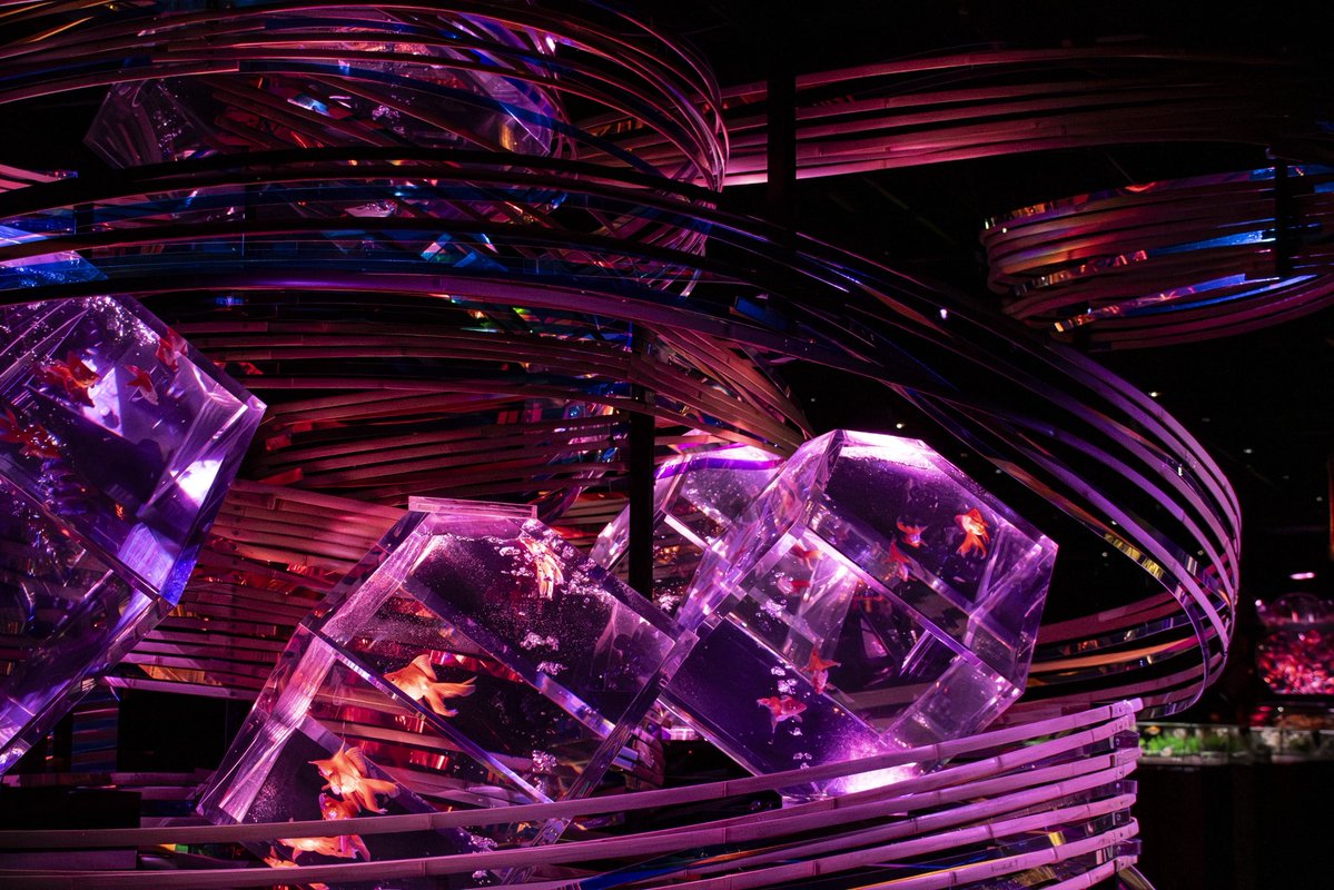 ㍿プリュ撮影会イベント部 tweet media