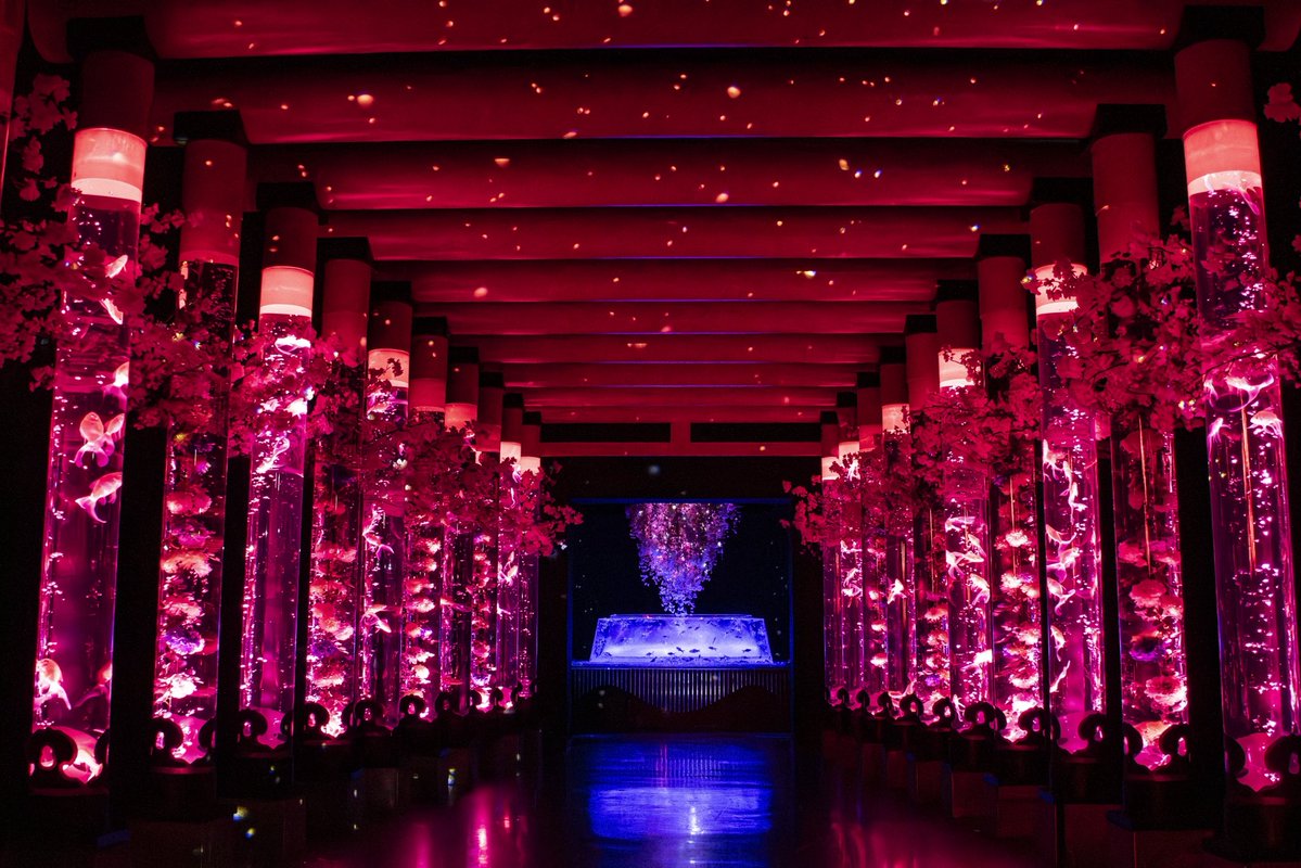 ㍿プリュ撮影会イベント部 tweet media