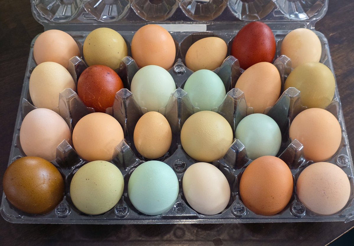 Brigham's Burner tweet media