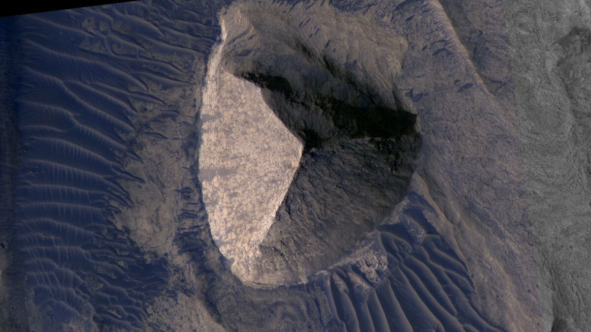 カラパイア tweet media