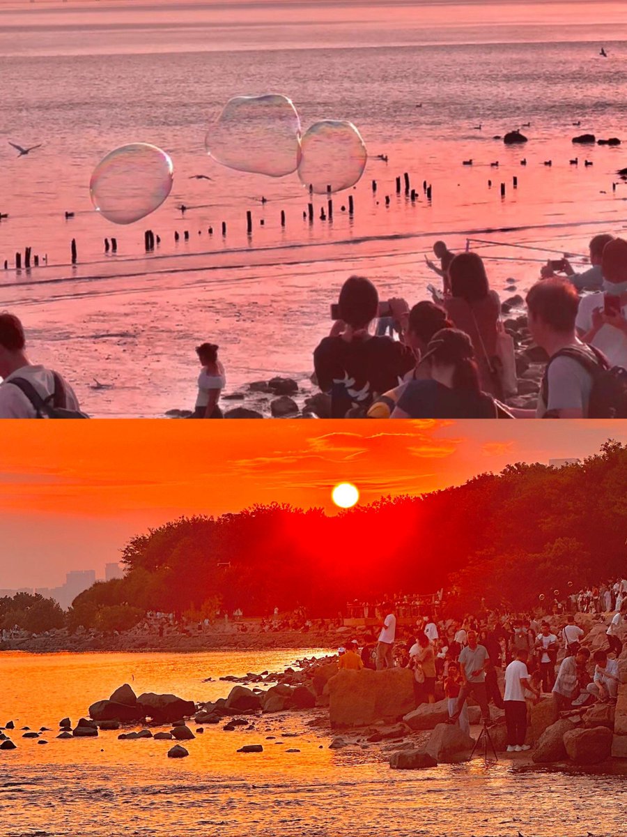 Dagmar Musilová tweet media