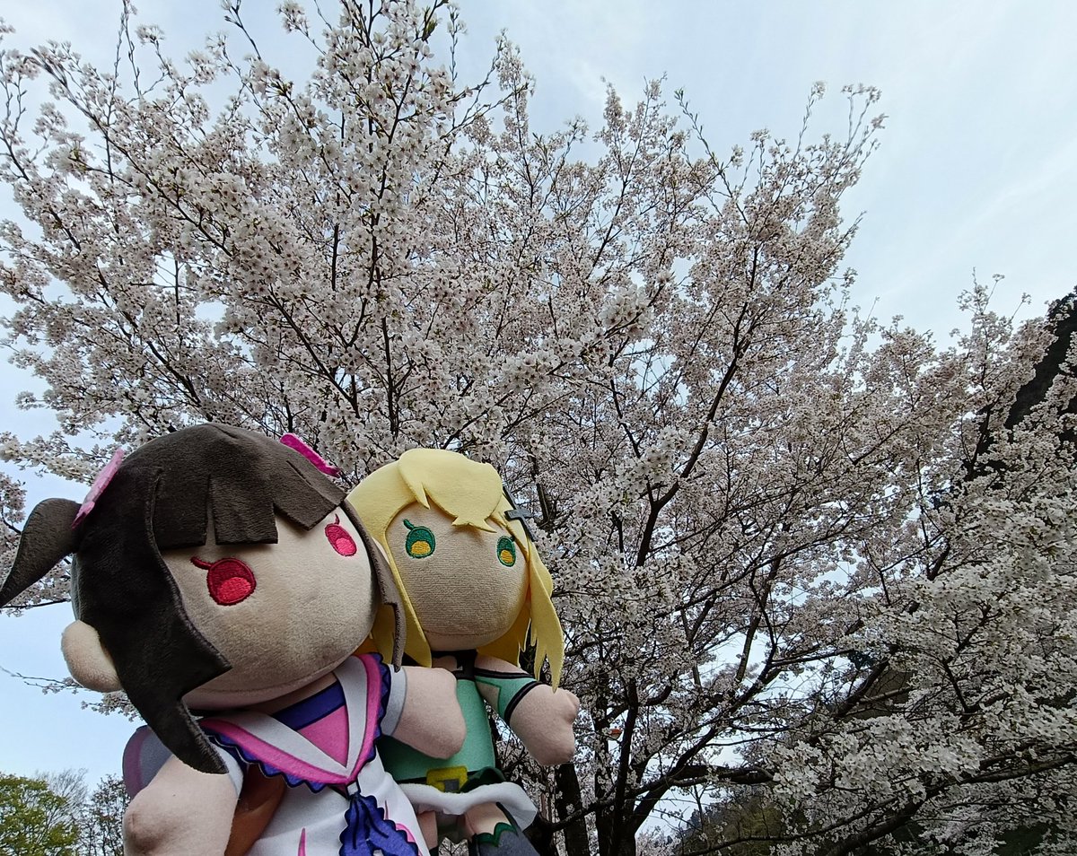 はせむん tweet media