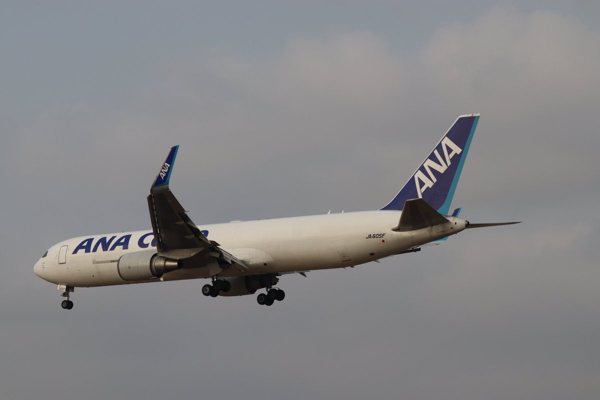 飛行機が趣味な人(羽田・成田ベース)✈ tweet media