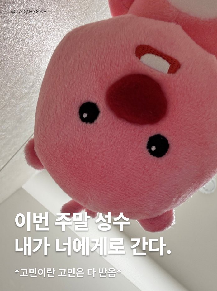 탱글엔젤 코리아 tweet media