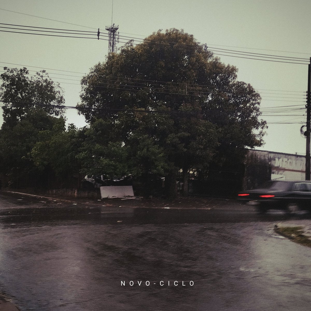 Rayanzinho Chan 🪷 tweet media