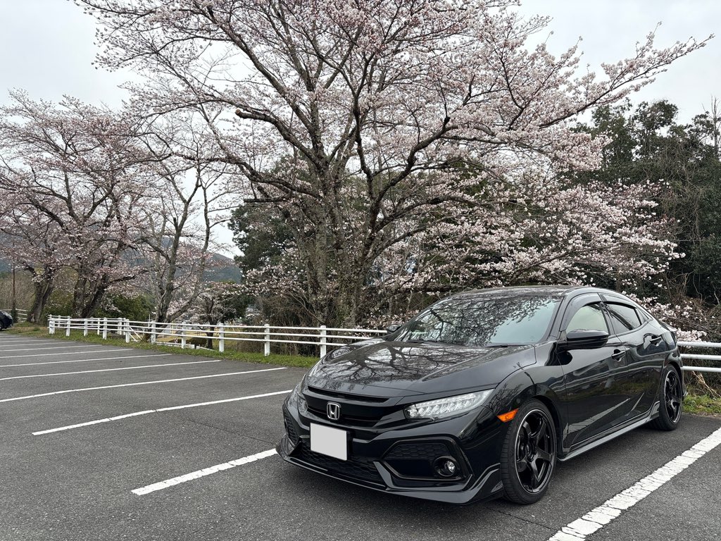 今年の花見は10秒で終わりw