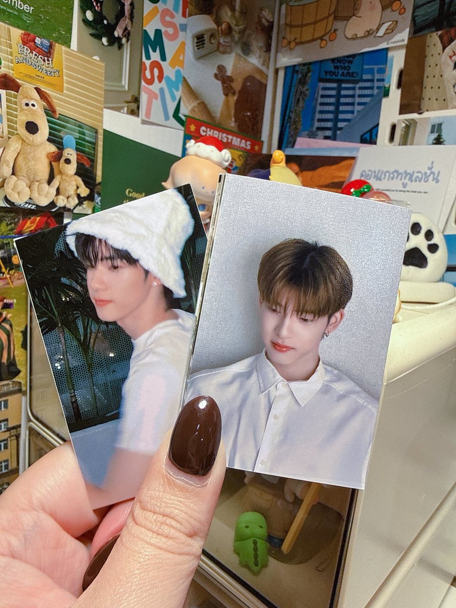 งาน 2x3 เต็มกรอบใบละ 2 บาทนะคะ 🥺✨

ᯓ🪴◞ มีโปร ✧✨ˎˊ˗ ยอด 350 บาทขึ้นไปเดินทางฟรี  🛒  𓂂𓏸 ☁️。 บ้านเขียว : quadshopphoto5 อจ : quadshopp 🧸

#รับทำGiveaway  #ของแจกเพื่อน  #ของขวัญรับปริญญา #โพลาลอยด์ปัจฉิม #ปริ้นรูปโพลารอยด์ #โพลารอยด์ #ของแจกหน้าคอน