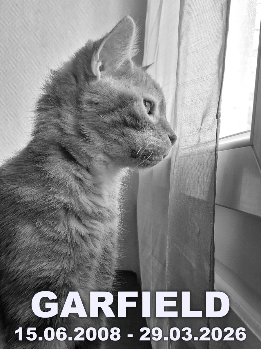 Aiden Galofi tweet media