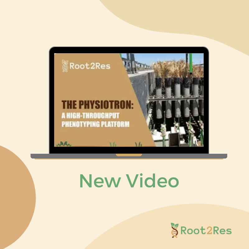 Root2Res tweet media