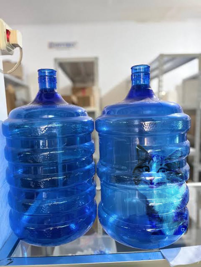 maloversss tweet media