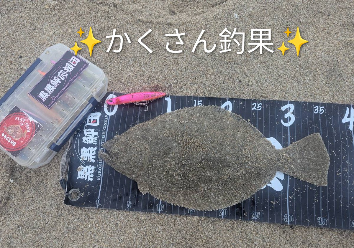 ユーコップ👩 tweet media