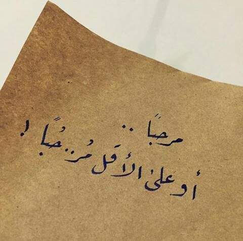 ✩˹Lɹ̤Iɹ̇bɺI յ̇Ĩgᓅ˼✩ tweet media