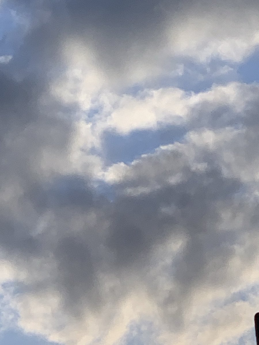 Deborah Healey tweet media