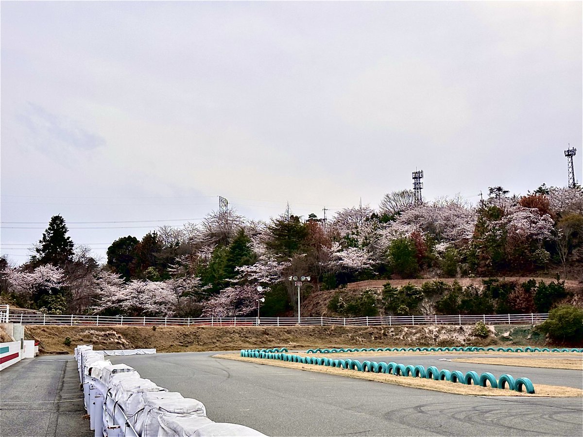 SL_TAMADA's tweet photo. 3/30桜が見頃となりました！ https://t.co/o5lDe3CTPc