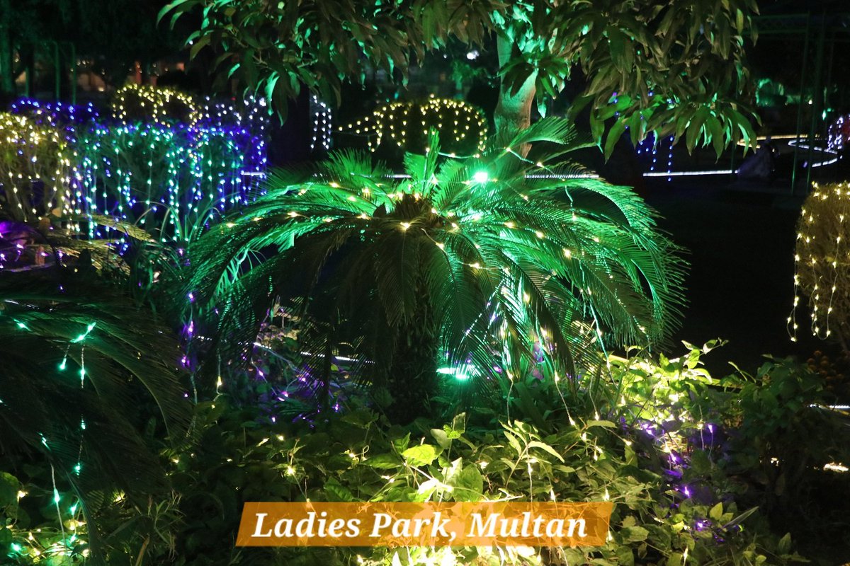 Deputy Commissioner Multan tweet media