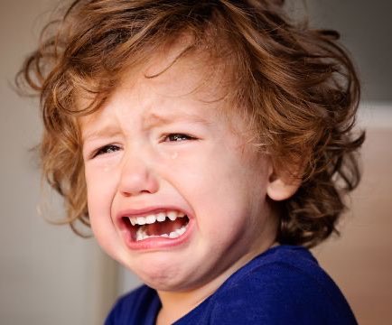 Sir 𝕏 tweet media