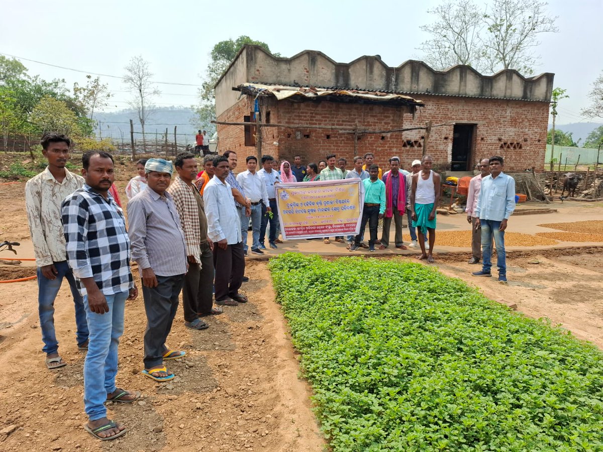 ST & SC Development Department tweet media