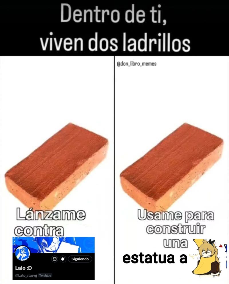 Ustedes cual ladrillo elegirían???
👀👀👀👀👀👀👀👀