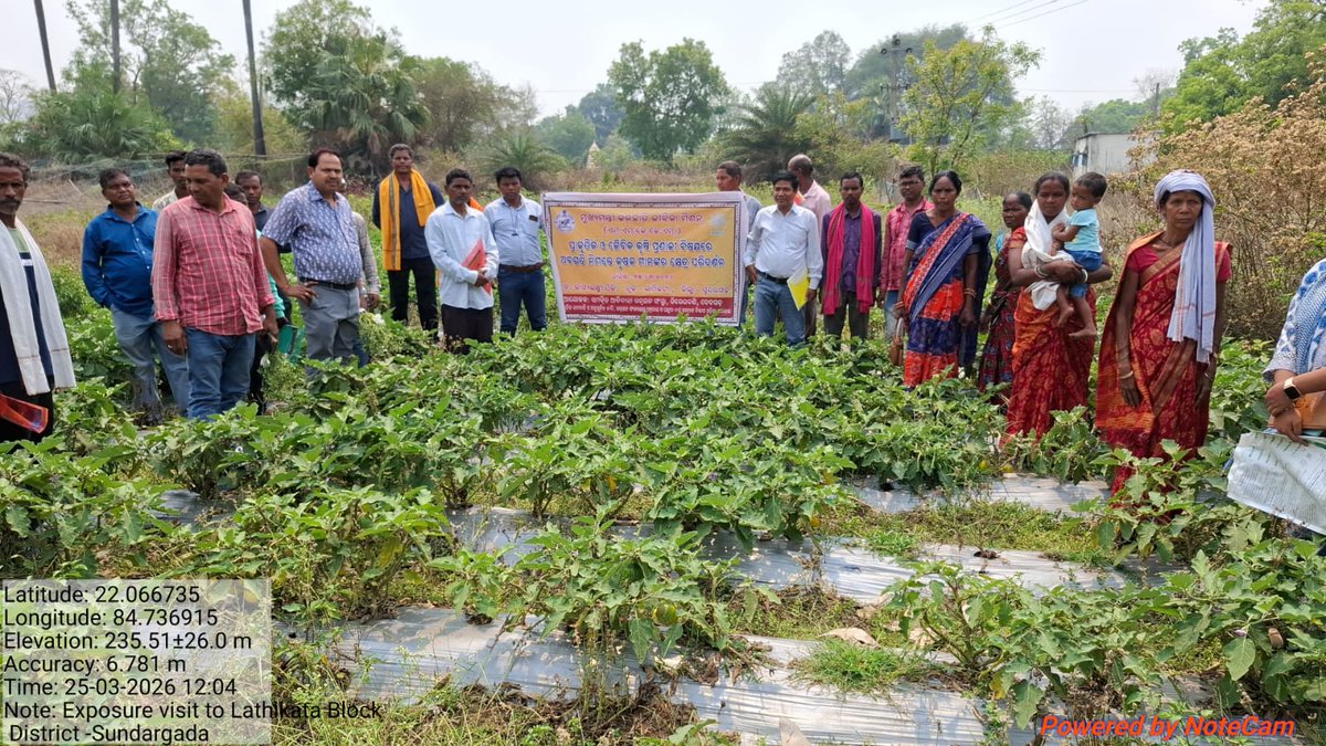 ST & SC Development Department tweet media