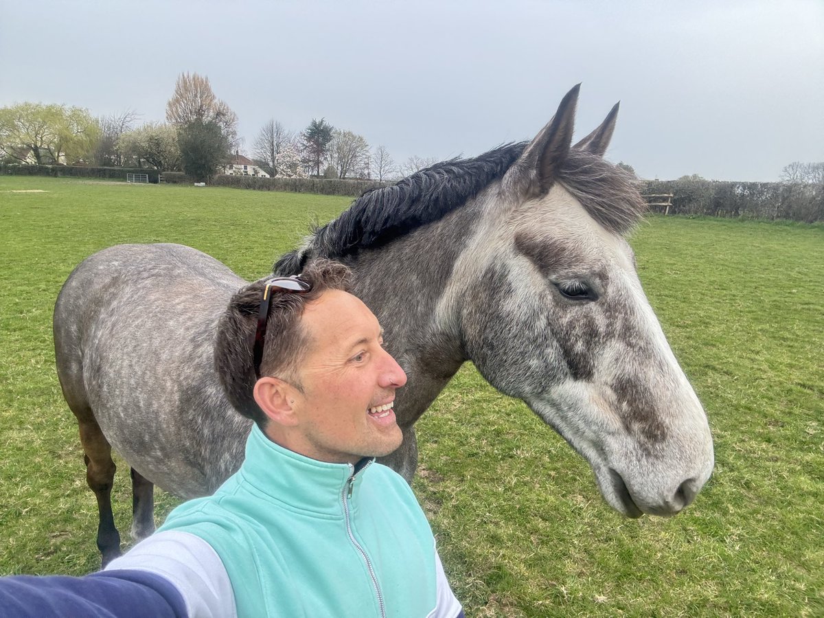 brad_cob's tweet photo. That Monday morning face 😂 #horsingaround #equestrian #cheekyselfie #gayequestrian #manandahorse https://t.co/QZNaOrpahx