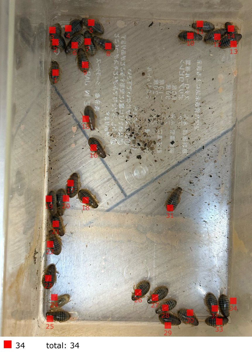 しんえん tweet media