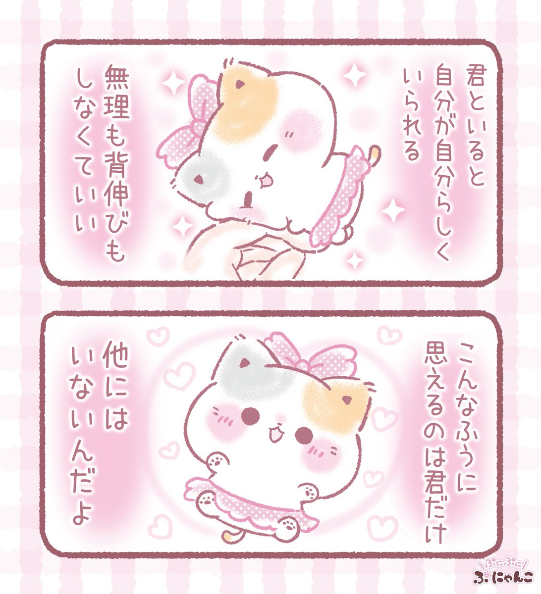 ぷにゃんこ🐾｜TOKUDOME🌼 tweet media