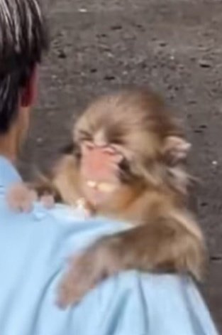 IlGuruMasciuga tweet media