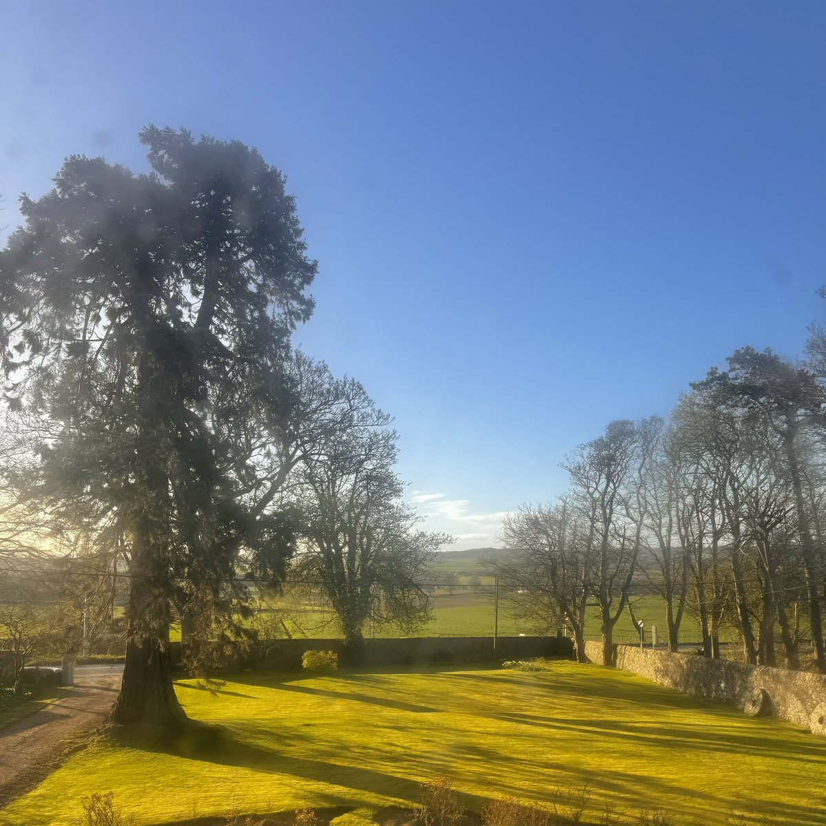 James Melville 🚜 tweet media