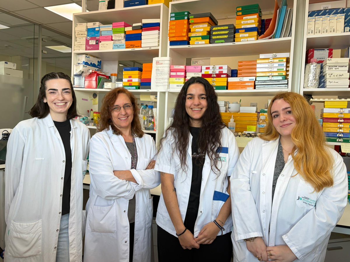 CIBER_ISCIII's tweet photo. Un estudio #CIBERDEM ha identificado un nuevo mecanismo molecular que controla la inflamación de las arterias en la #diabetes y que podría convertirse en una futura diana terapéutica frente a la aterosclerosis 🩸
🔗https://t.co/TucGBCjhsv https://t.co/9gfCfXuUTf