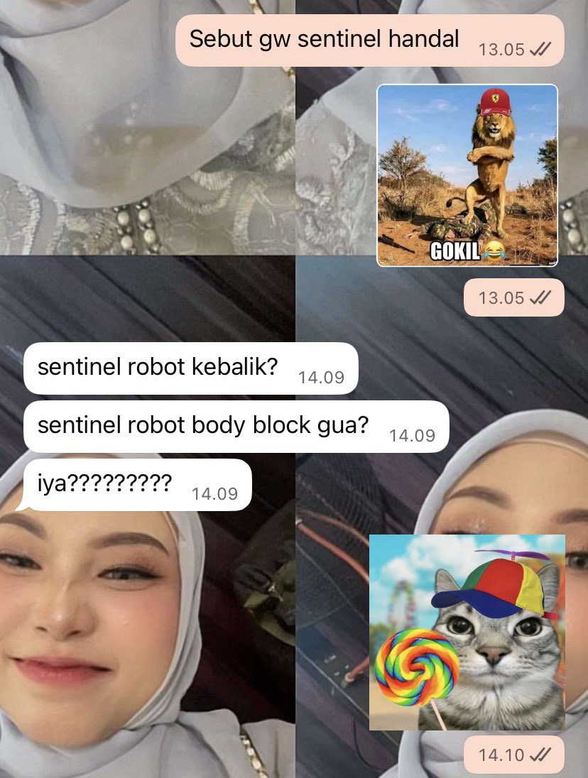 sacelele immo 2 tweet media