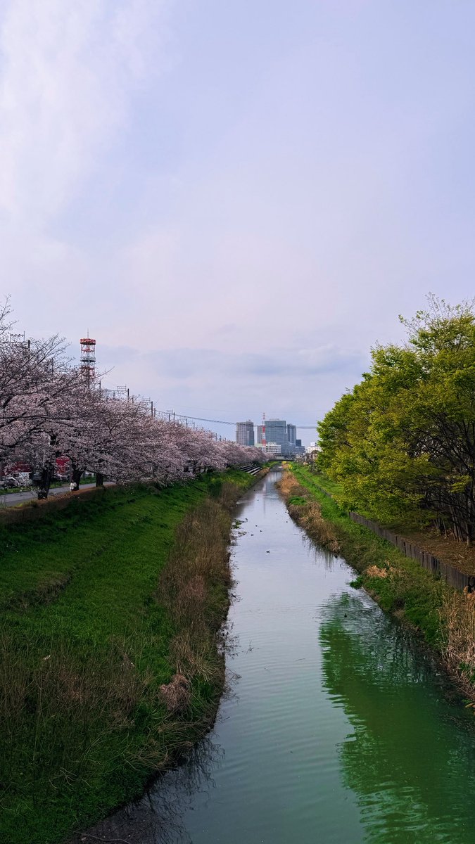 ヌルNURU tweet media