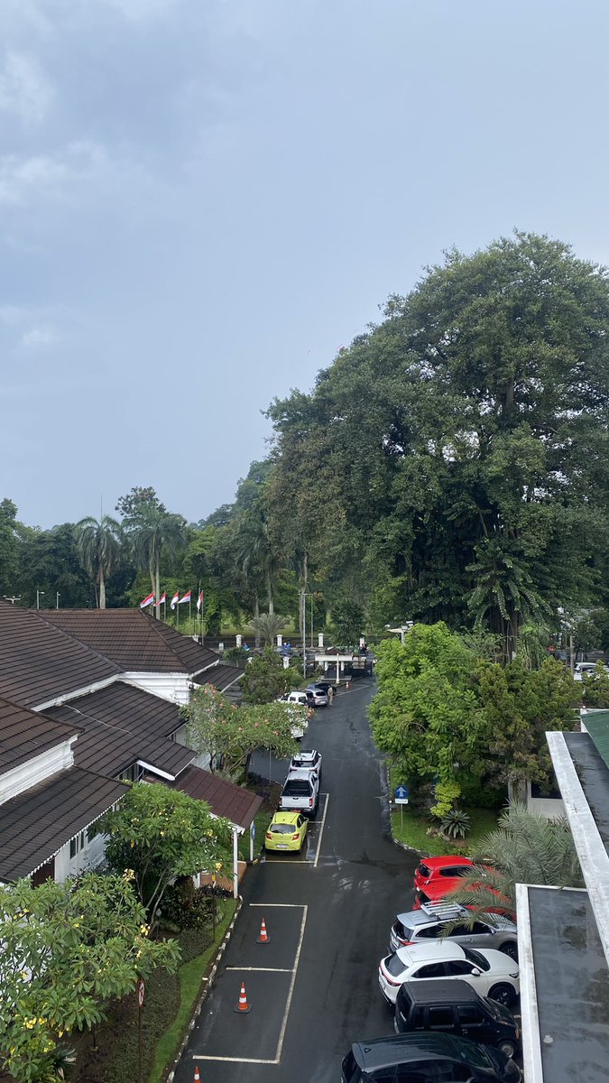 Bee 🦀 tweet media