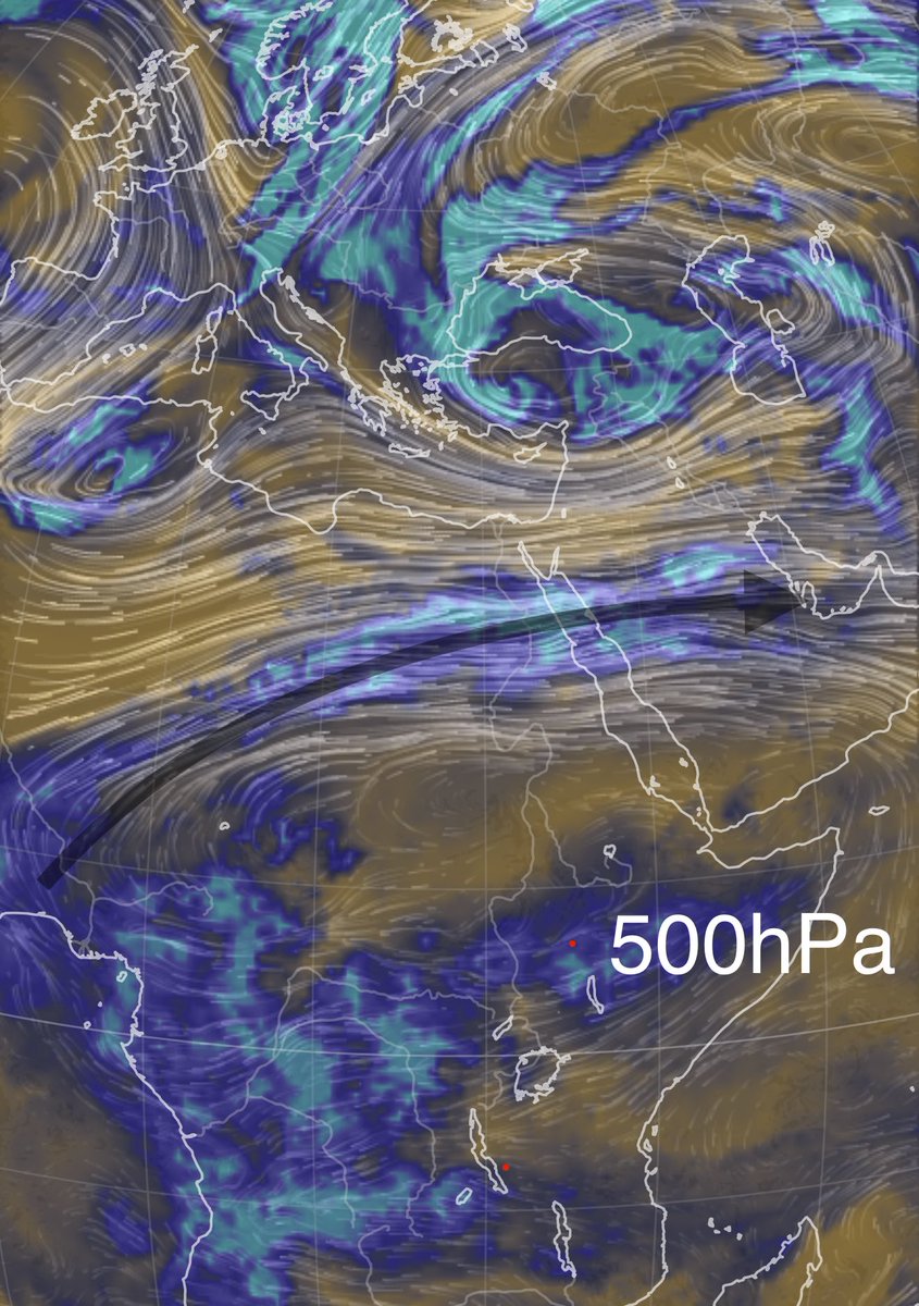 بوغيث tweet media