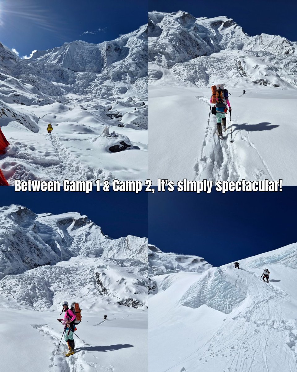 Stefi Troguet tweet media