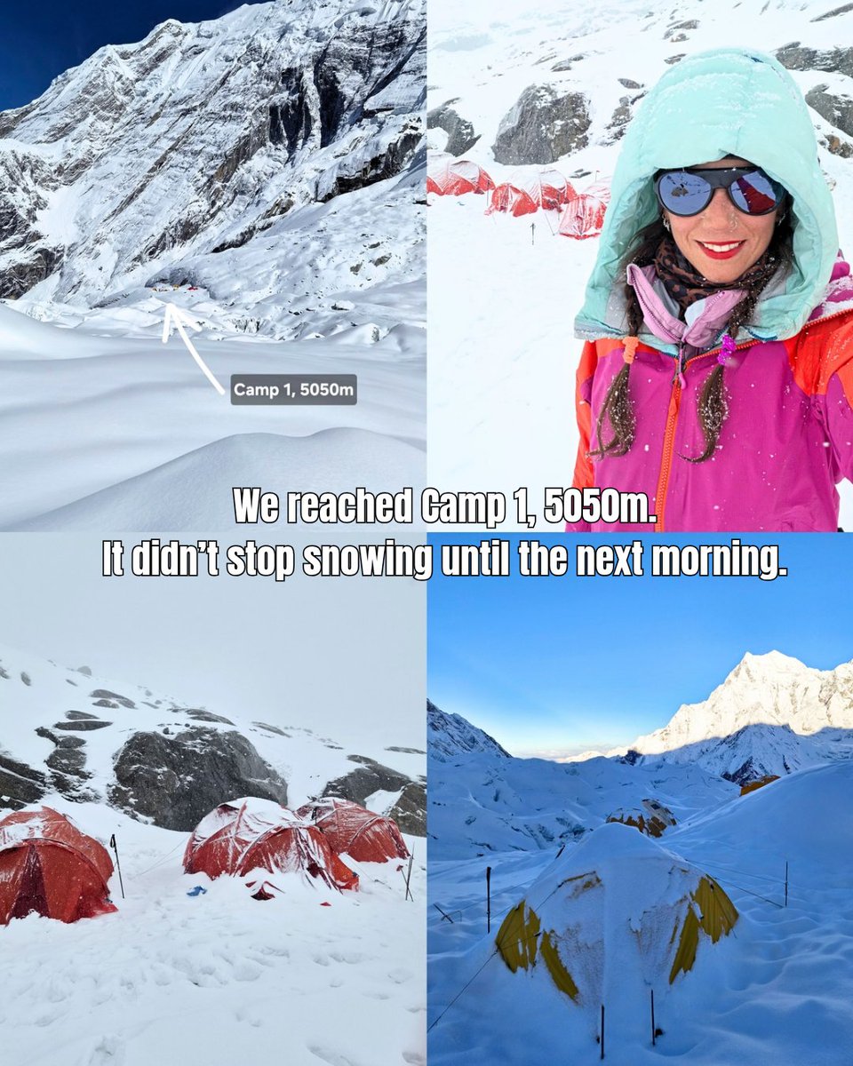 Stefi Troguet tweet media