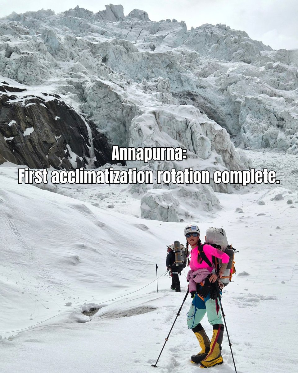 Stefi Troguet tweet media