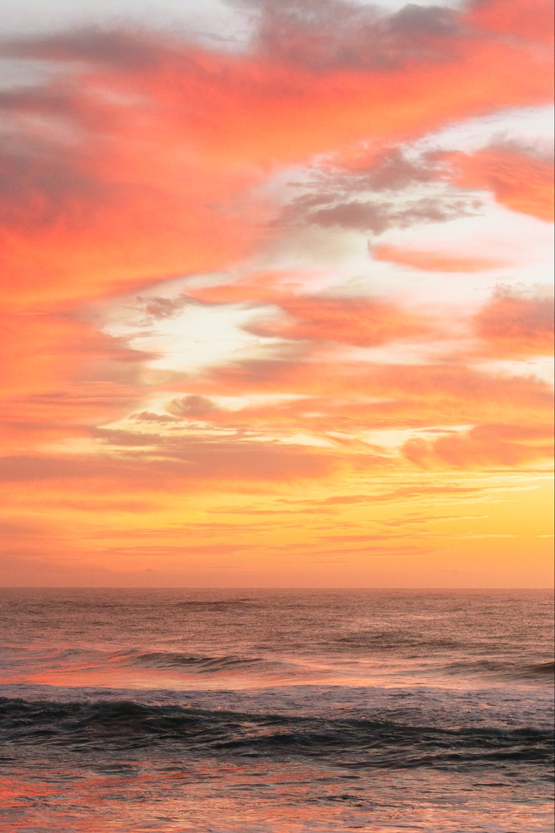 Hunter Rayl | Photographer tweet media