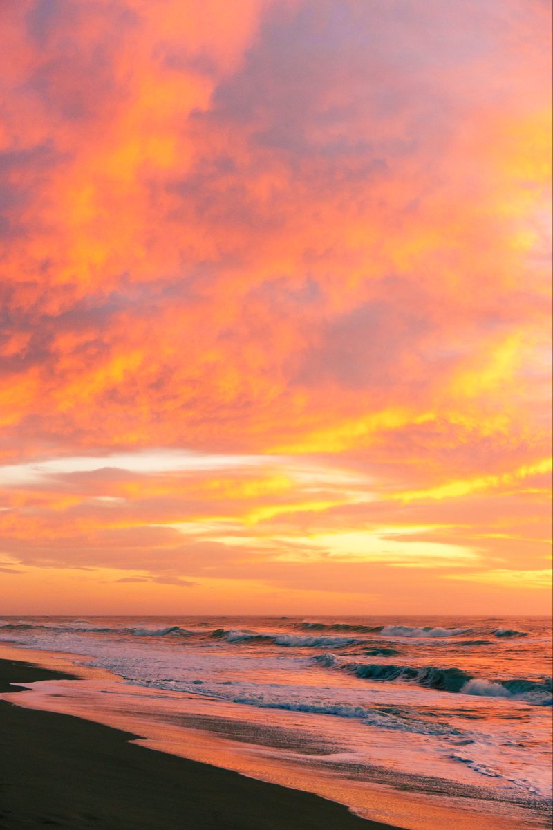 Hunter Rayl | Photographer tweet media
