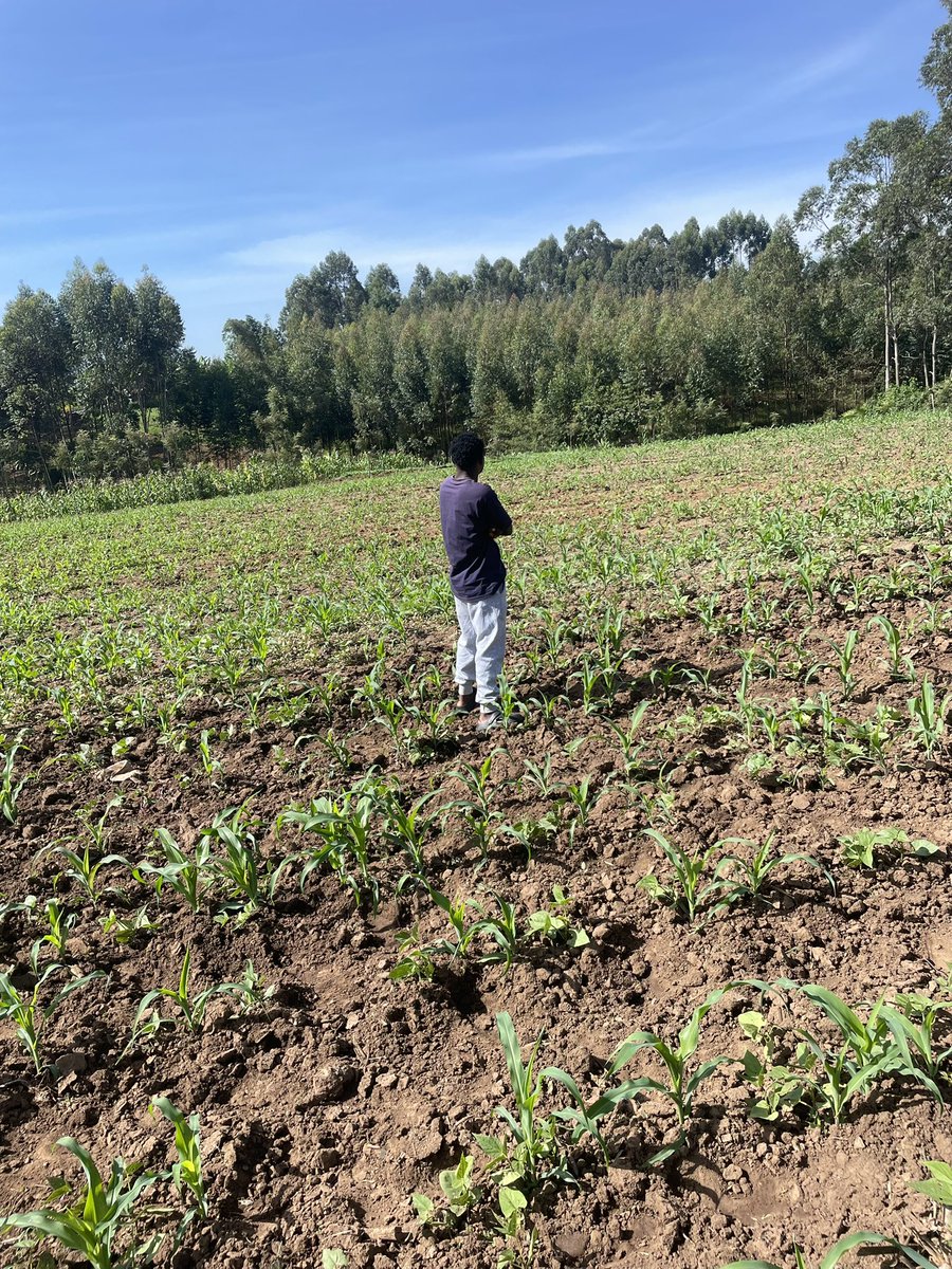 Netflexxguyy🇺🇸🇰🇪🇬🇧 tweet media