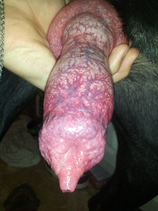 Gem ζ 🐾🪢 tweet media